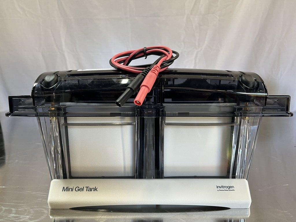 Invitrogen A25977 Mini Gel Tank - Excellent Condition, Lab Equipment